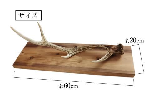 【12月20日決済確定分まで年内発送】エゾシカ角 壁掛け（横約20cm×縦約60㎝）