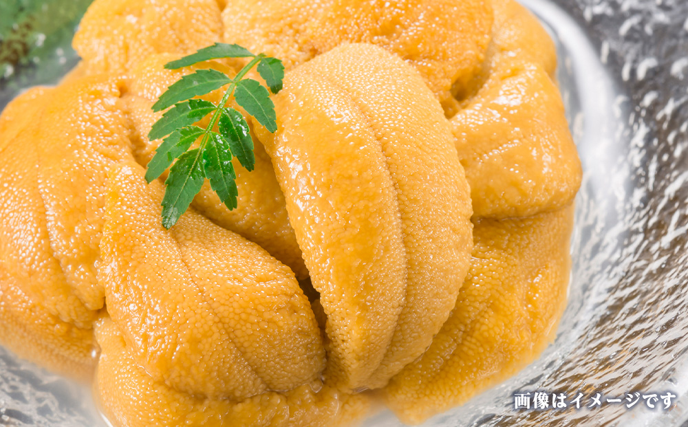 2026年発送 先行受付 ウニ本来の味が楽しめる【白老産】塩水ムラサキウニ 100g×2パック