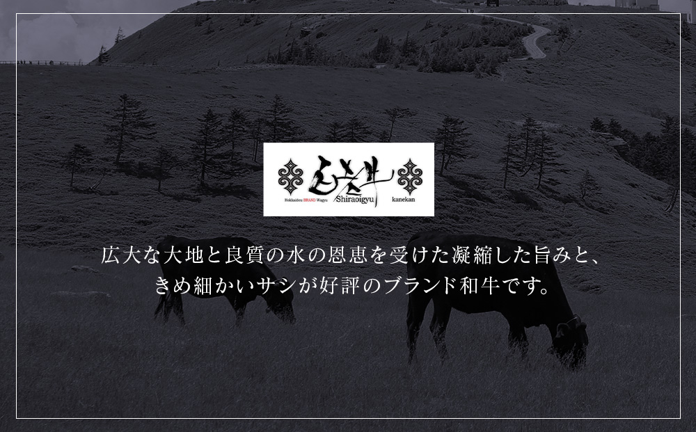 【12月20日決済確定分まで年内発送】白老牛 2種 食べ比べ ハンバーグ セット 合計20個 Wチーズ・スタンダード 特製ソース 冷凍 牛肉 肉 白老 BY125