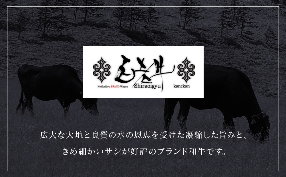 北海道産 白老牛 ブルーチーズ ハンバーグ 10個セット 冷凍 牛肉 肉 白老 BY127