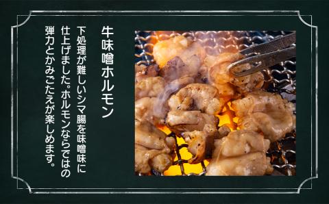【12月20日決済確定分まで年内発送】海の近くのお肉屋さん BBQ セット