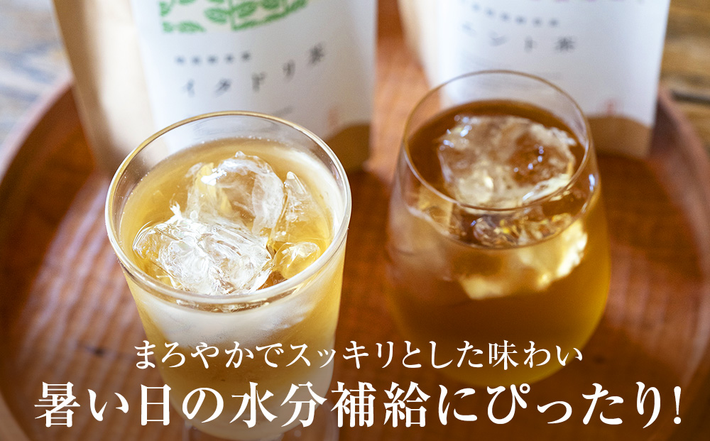 【12月20日決済確定分まで年内発送】森の茶屋 イタドリ茶&エント茶 ノンカフェイン 健康茶 お茶 ナチュラルアイランド CH401