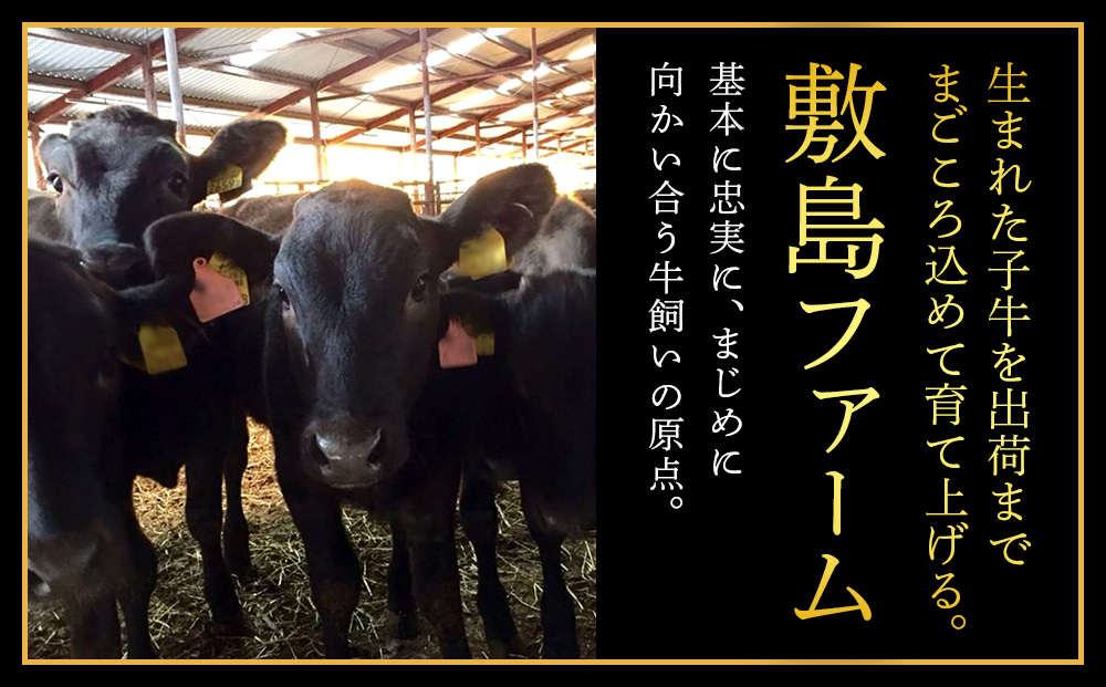 【12月20日決済確定分まで年内発送】白老産黒毛和牛 味付け焼肉 ピリカルージュ 1.2kg (400g×3パック) 7日営業日以内発送 焼肉 黒毛和牛 タレ たれ 小分け 焼肉セット 人気 数量限定 たっぷり大満足 グルメ 訳あり 国産 北海道産 CK007