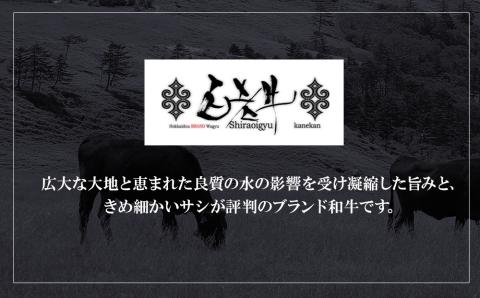 【12月20日決済確定分まで年内発送】白老牛 ジューシー ハンバーグ セット 10個 網脂 特製ソース 手造り 手ごね BY081