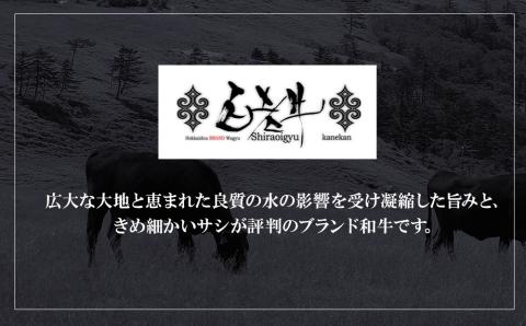 【12月20日決済確定分まで年内発送】白老牛 Ｗチーズ ハンバーグ セット 5個 モッツァレラ 特製ソース ベーコン 手造り BY077