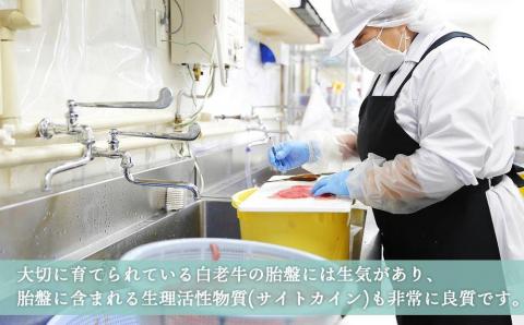 【12月20日決済確定分まで年内発送】北海道産 生プラセンタサプリメント ～アンケシ～