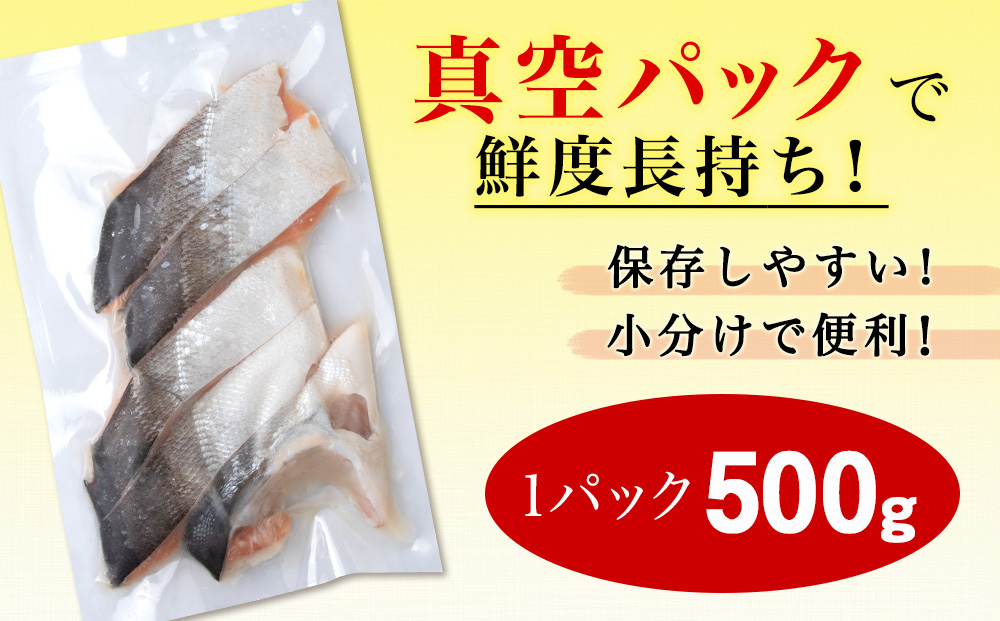 白老町産 時鮭 トキシラズ 500g 真空パック〈斉藤水産〉