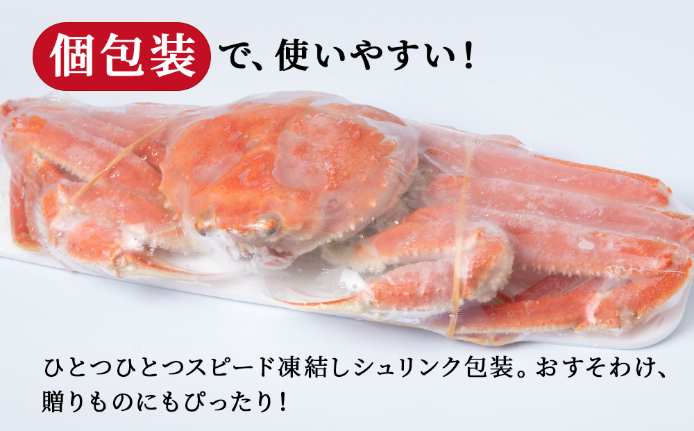 大ズワイガニ姿600ｇ～750ｇ×2尾＜超特大＞AM189