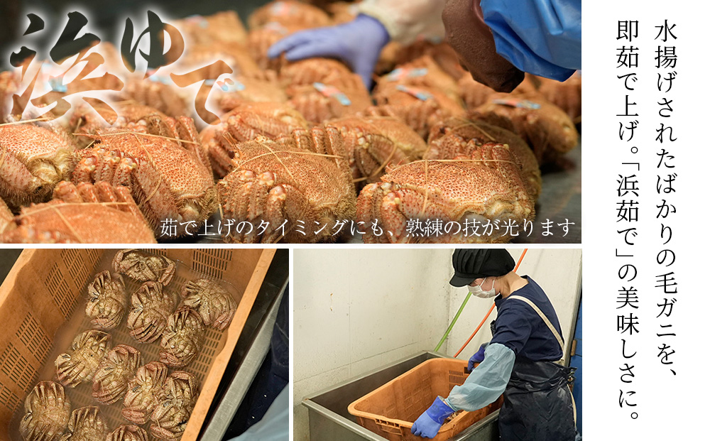 【大サイズ】北海道産 冷凍ボイル毛ガニ (700g-800g前後) 1尾  蟹 かに カニ 毛ガニ AS192