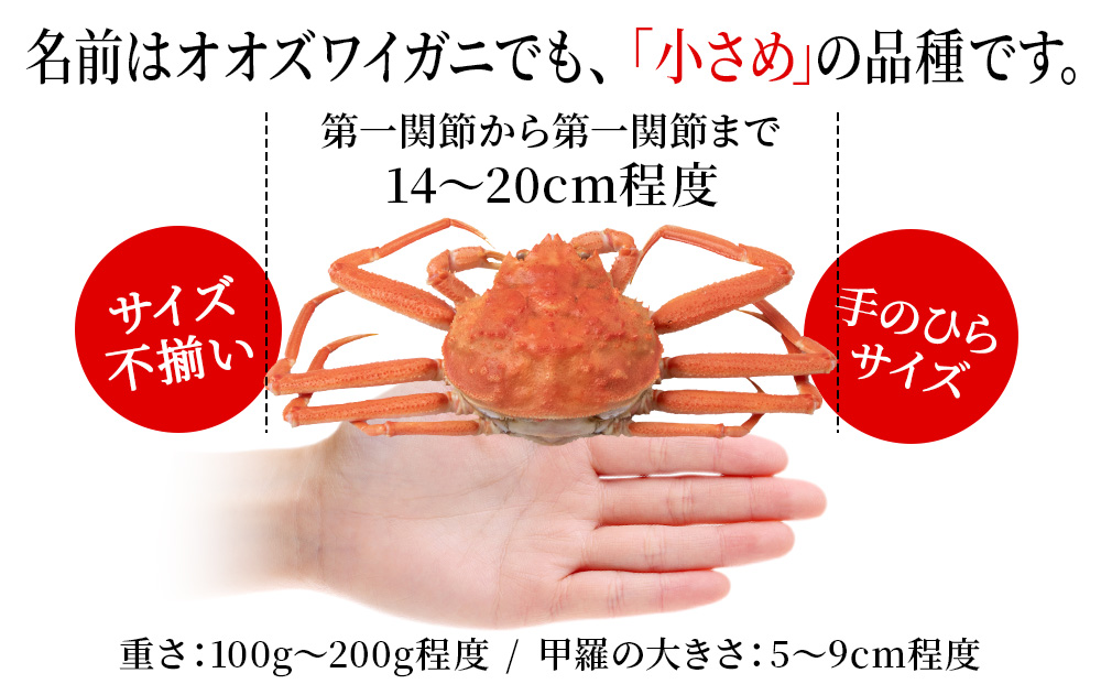 【7営業日以内発送】訳あり オオズワイガニオスメス混在 浜ゆで （8-15尾）2kg 北海道産 AS228