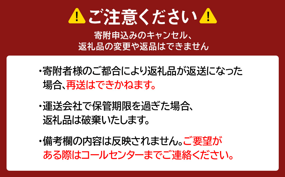 【12月20日決済確定分まで年内発送】ベビーミルキーローションお得用サイズ 380ml 2本セット CH210