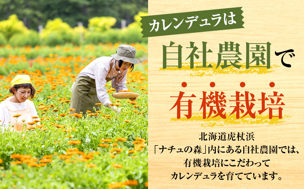 【12月20日決済確定分まで年内発送】カレンデュラのいたわりシャンプー&トリートメント (シャンプー 400ml トリートメント 230g) ボタニカル 保湿 ノンシリコン ナチュラルアイランド CH804
