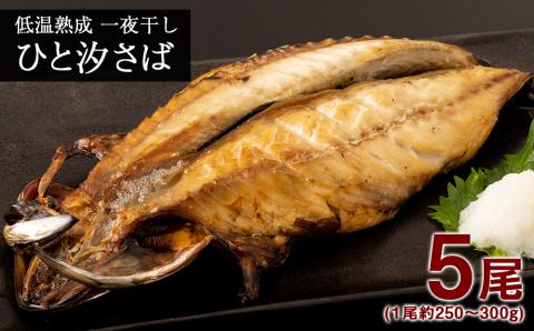 【12月20日決済確定分まで年内発送】低温熟成 一夜干し ひと汐さば 5尾 ＜虎杖浜加工＞ AA025