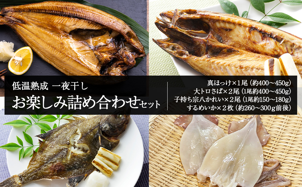 【12月20日決済確定分まで年内発送】低温熟成 一夜干し お楽しみ 詰め合わせ