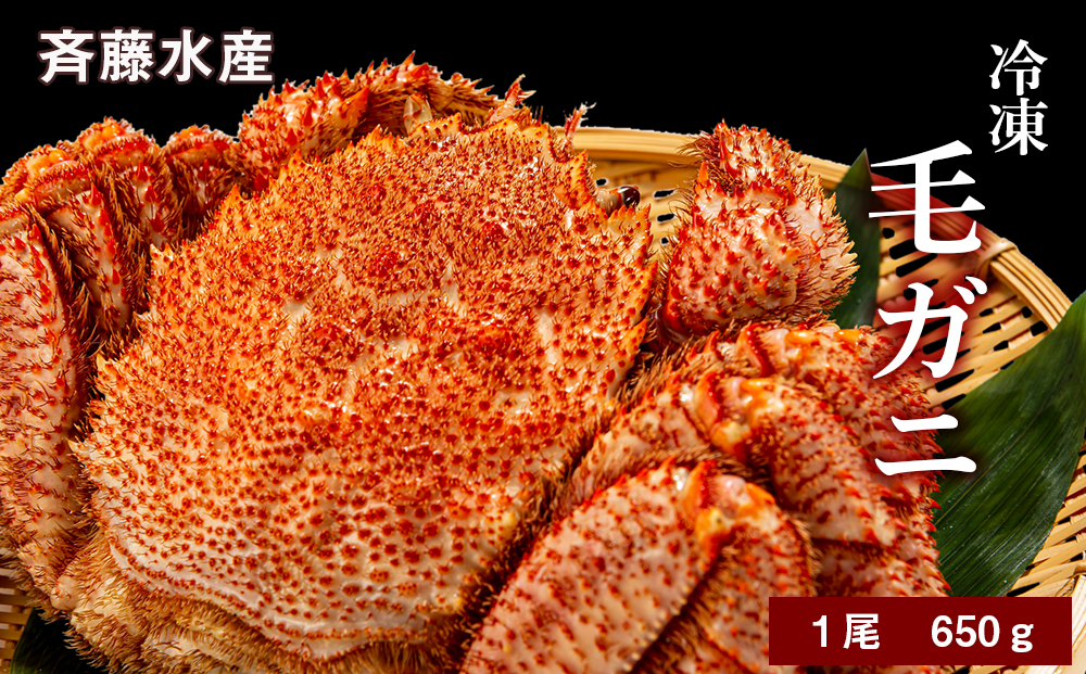 大サイズ！冷凍毛がに約650g×1尾【斉藤水産】 AM143