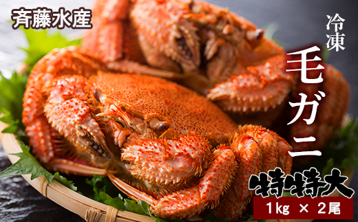 【12月23日決済確定分まで年内発送】特特大サイズ！冷凍毛がに約1kg×2尾【斉藤水産】 AM151