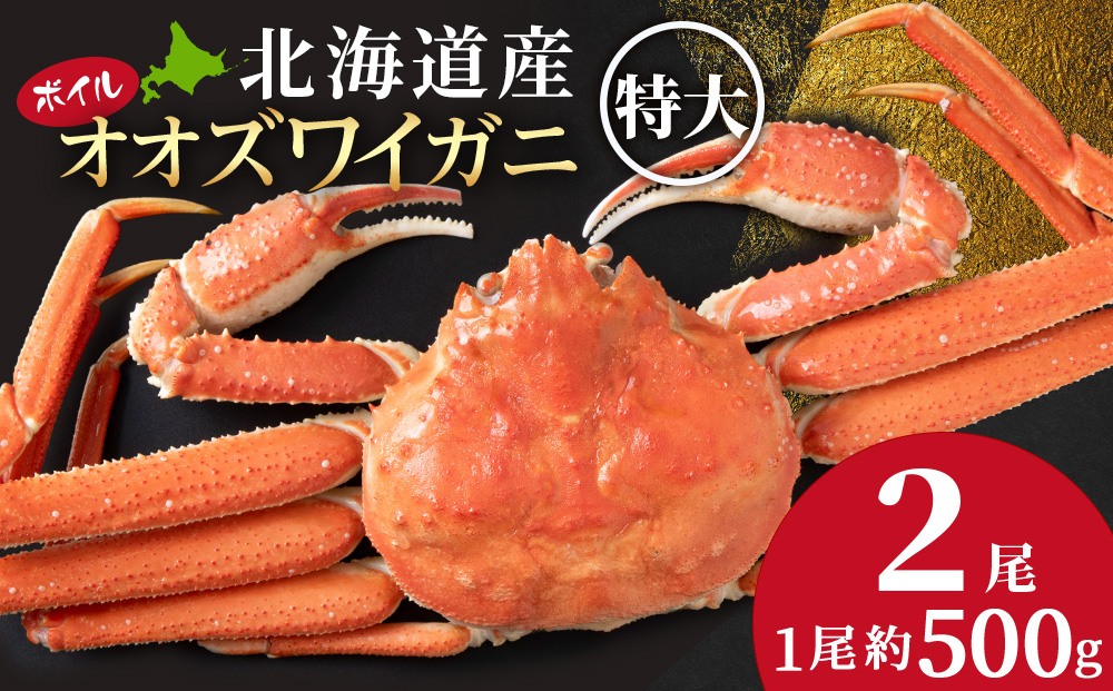 【12月23日決済確定分まで年内発送】北海道産 大ズワイ＜特大＞500g×2尾〈小田切水産〉 オオズワイ 蟹 かに カニ ボイル AM164