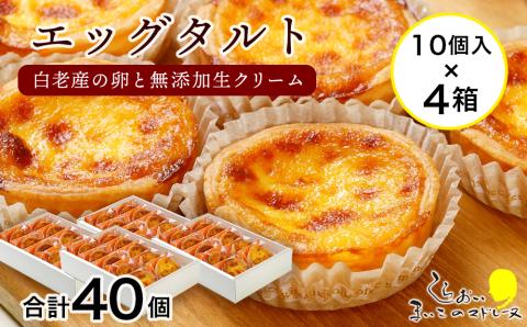 【12月20日決済確定分まで年内発送】エッグタルト40個セット AR086