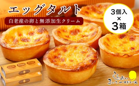 【12月20日決済確定分まで年内発送】エッグタルト3個入り×3箱セット AR091