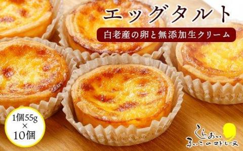 エッグタルト10個セット AR100