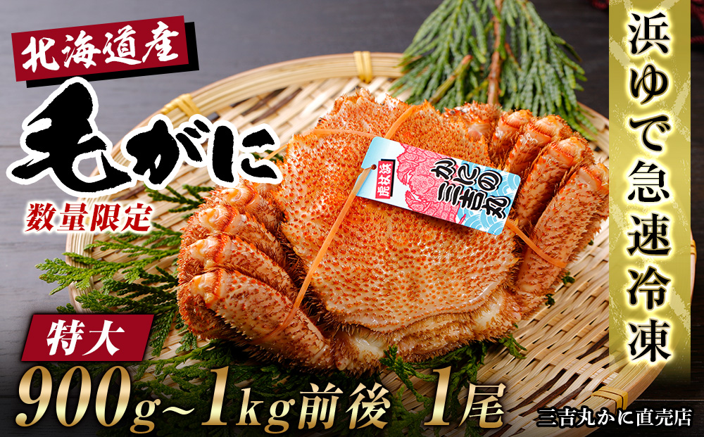 【12月20日決済確定分まで年内発送】【特大】 北海道産 冷凍ボイル 毛ガニ (900g-1kg前後) 1尾 蟹 かに カニ 毛ガニ AS119