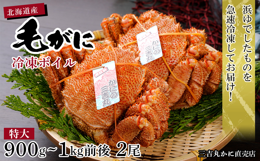 【12月20日決済確定分まで年内発送】【特大】北海道産 冷凍ボイル毛ガニ (900g-1kg前後) 2尾  蟹 かに カニ 毛ガニ AS120