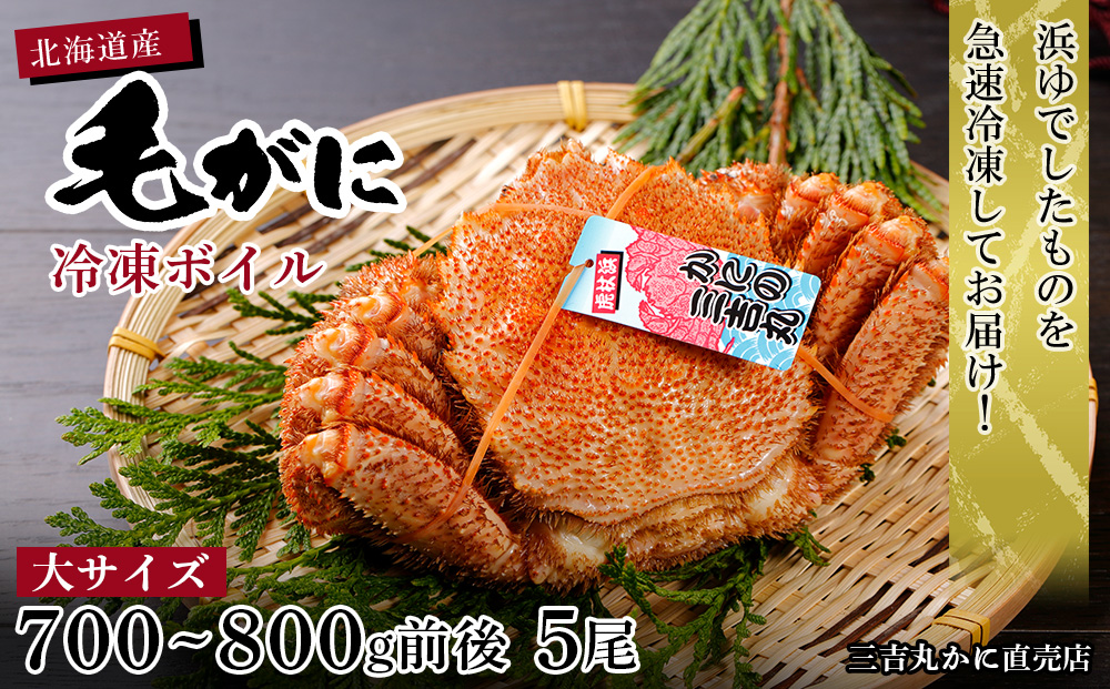 【大サイズ】北海道産 冷凍ボイル毛ガニ (700g-800g前後) 5尾 AS195