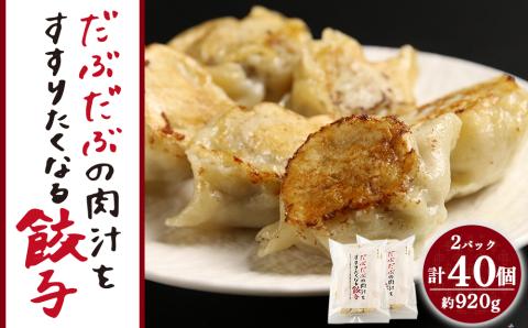 【12月20日決済確定分まで年内発送】だぶだぶの肉汁をすすりたくなる餃子 40個（20個入×2パック）