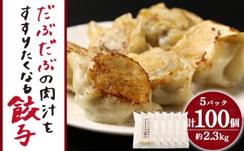 【12月20日決済確定分まで年内発送】だぶだぶの肉汁をすすりたくなる餃子 100個（20個入×5パック）