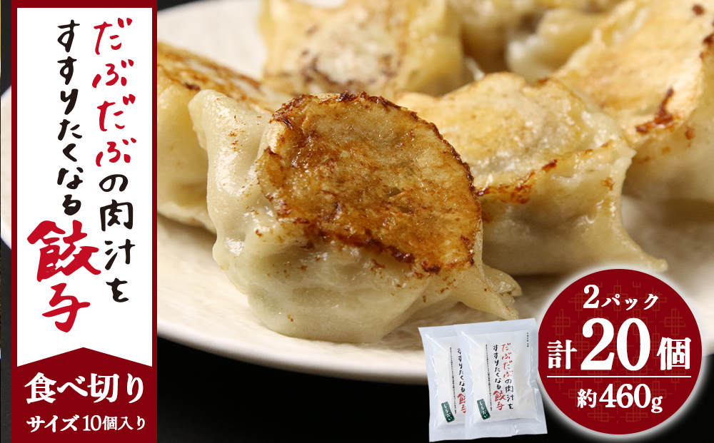 【12月20日決済確定分まで年内発送】だぶだぶの肉汁をすすりたくなる餃子 20個（10個入×2パック） ぎょうざ 冷凍 ギョウザ おつまみ おかず 中華 惣菜 BE012