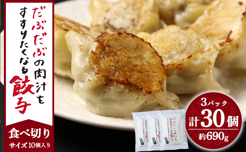 【12月20日決済確定分まで年内発送】だぶだぶの肉汁をすすりたくなる餃子 30個（10個入×3パック） ぎょうざ 冷凍 ギョウザ おつまみ おかず 中華 惣菜 BE013