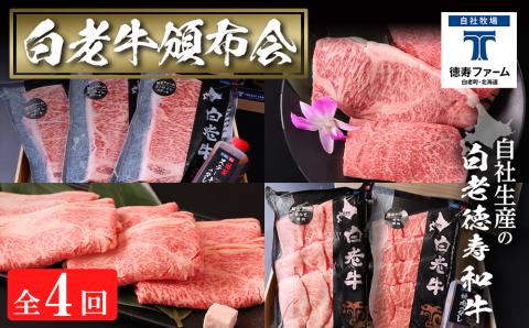 定期便 全4回 白老牛 お楽しみ 頒布会 ＜白老徳寿＞