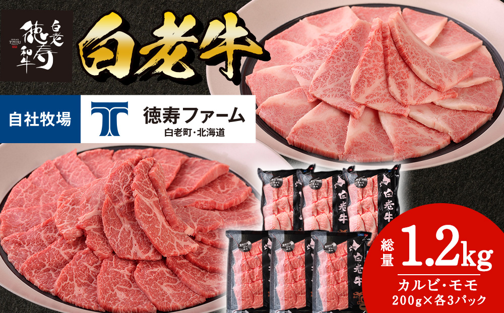 白老牛 焼肉 霜降り カルビ＆モモ セット 合計1.2kg（各600ｇ）特製焼肉のたれ付き 和牛 牛肉 北海道 ギフト ＜徳寿＞ BJ065
