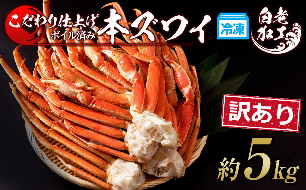 【12月20日決済確定分まで年内発送】訳あり 本ズワイ蟹脚 ボイル冷凍 5㎏（14～20肩前後） ギフト プレゼント かに カニ 北海道 BM332