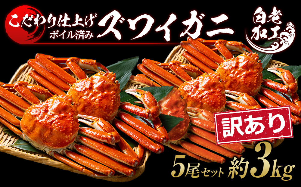 【12月20日決済確定分まで年内発送】訳あり ズワイガニ 姿 ボイル済み 冷凍 5尾セット 約3kg BM337