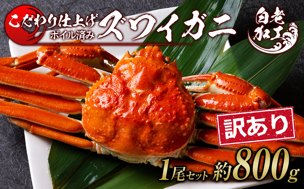 【12月20日決済確定分まで年内発送】訳あり ズワイガニ 姿 ボイル済み 冷凍 1尾セット 約800g BM338