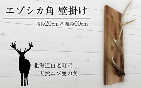 【12月20日決済確定分まで年内発送】エゾシカ角 壁掛け（横約20cm×縦約60㎝）