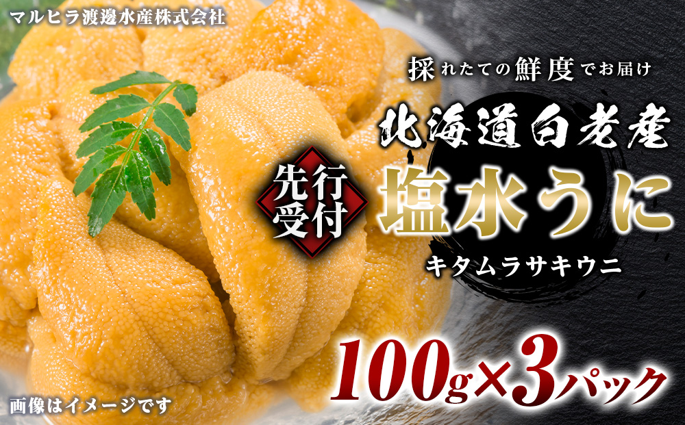 2026年発送 先行受付 ウニ本来の味が楽しめる【白老産】塩水ムラサキウニ 100g×3パック
