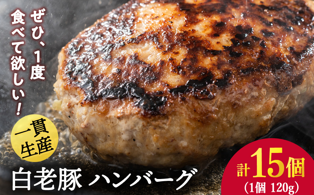 【12月20日決済確定分まで年内発送】北海道産 白老豚 ハンバーグ 120ｇ×15個セット