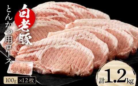 【12月20日決済確定分まで年内発送】北海道産 白老豚 ロース とんかつ用 100g×12枚