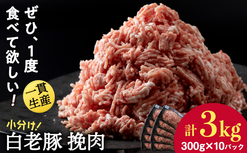 【12月20日決済確定分まで年内発送】北海道産 白老豚 挽肉 300g×10パック