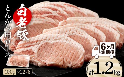 【定期便 6カ月】北海道産 白老豚 ロース とんかつ用 100g×12枚 BV047