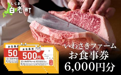 【12月20日決済確定分まで年内発送】いわさきファーム お食事券 6,000円分 レストラン ギフト 牛肉 白老牛 北海道 白老町 チケット AB020
