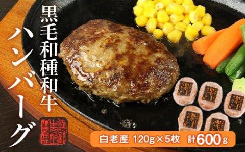 【12月20日決済確定分まで年内発送】白老産 黒毛和牛ハンバーグ