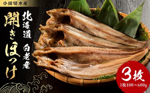 【12月20日決済確定分まで年内発送】開きほっけ1枚×3セット