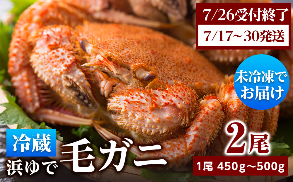 ★期間限定★ 浜ゆで！毛ガニ 約400g～450g×2尾 チルド配送 7/17~7/30発送【斉藤水産】 北海道 冷蔵 チルド 毛蟹 カニ かに 白老 前浜