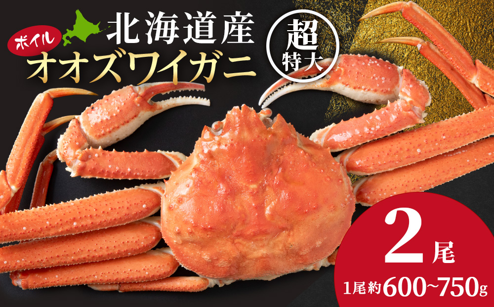 大ズワイガニ姿600ｇ～750ｇ×2尾＜超特大＞AM189