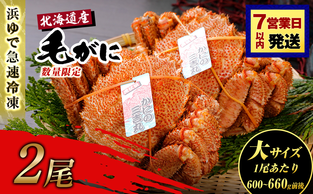 【大サイズ】北海道産 冷凍ボイル毛ガニ (600g-660g前後) 2尾 AS172
