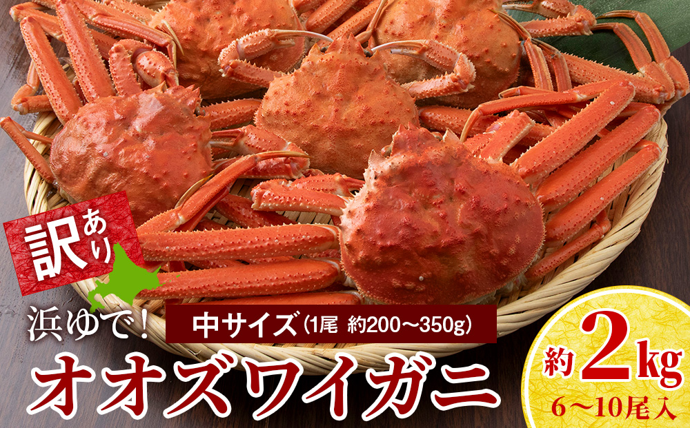 【7営業日以内発送】訳あり オオズワイガニオス 中サイズ (約200-350g) 浜ゆで 2kg (6～10尾入) AS176