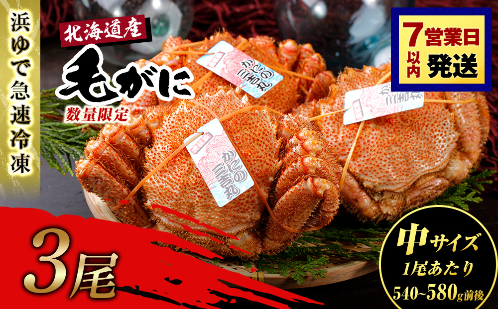 【中サイズ】北海道産 冷凍ボイル毛ガニ (540g-580g前後) 3尾 AS185
